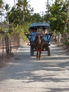 Cidomo, carros tirados por caballos típicos de las islas Gili