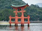 Tori del Santuario Itsukushima