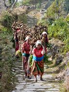 Mujeres cargando leña cerca de Pedhi