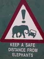 Mantenerse a una distancia segura de los elefantes