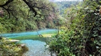 Blue Eye Spring