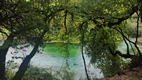 Blue Eye Spring