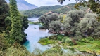 Alrededores del Blue Eye Spring