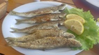 Belushka (pescado del lago)