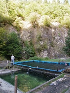 Piscina d'aigües termals en Borjomi Mineral Water Park