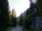 Ruta 6, Parc Nacional de Borjomi