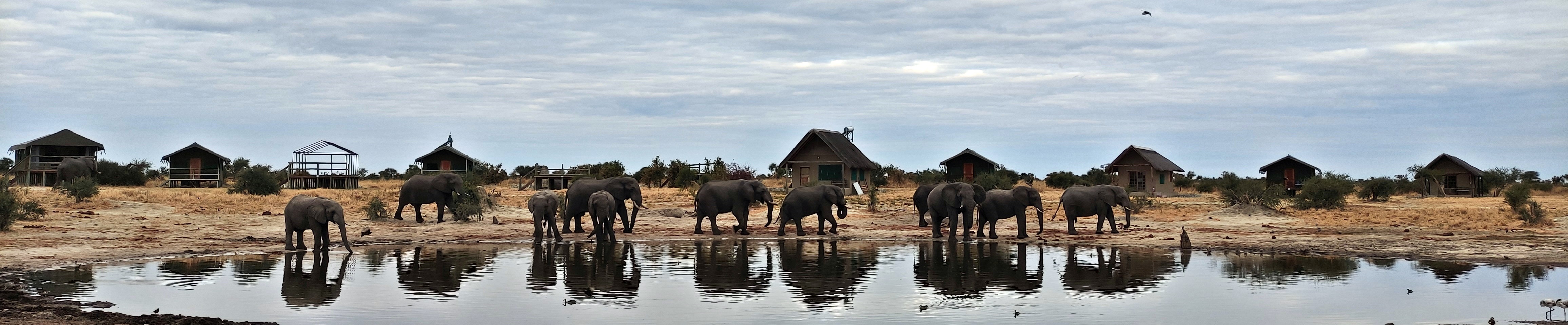 Elephant Sands