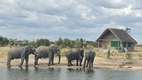Elephant Sands