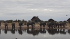 Elephant Sands