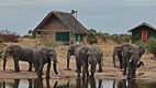 Elephant Sands