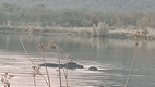 Mokolodi Nature Reserve