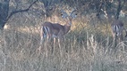 Gaborone Game Reserve