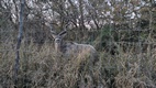 Gaborone Game Reserve