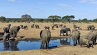 Senyati Safari Camp