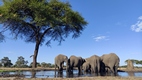 Senyati Safari Camp