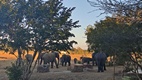 Senyati Safari Camp