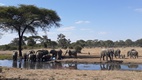 Senyati Safari Camp