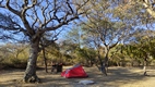 Khama Rhino Sanctuary