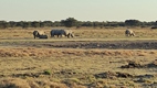 Khama Rhino Sanctuary