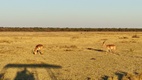 Khama Rhino Sanctuary
