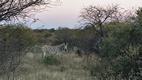 Khama Rhino Sanctuary