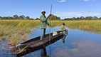 Delta del Okavango