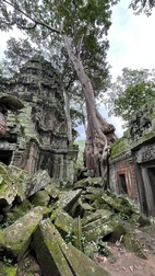 Templos de Angkor, Siem Reap