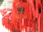 Estelas en el Templo de Confucio