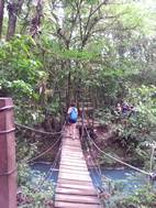 Pont sobre el riu Celeste, Parque Nacional Volcán Tenorio