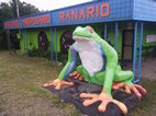 Frog Pond Ranario, Santa Elena