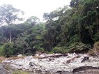 Desolació al voltant de les pailas d'aigua freda, Parque Nacional Rincón de la Vieja