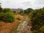 Varietat de paisatjes en Manyara NP
