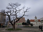 Centro de Bratislava, fuera de la ciudad vieja