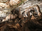 Cueva de Postojna
