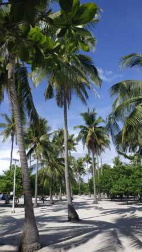 Illa de Kalanggaman