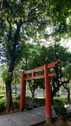 Jardí japonès en el Parc Rizal