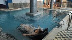 Spa del Hotel Puerto de las nieves
