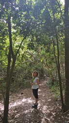 Sendero de los Tilos de Moya
