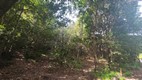 Sendero de los Tilos de Moya