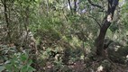 Sendero de los Tilos de Moya