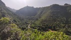 Sendero de los Tilos de Moya