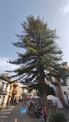 Pueblo de Teror