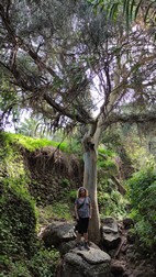 Sendero Barranco del Alamo