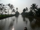 Backwaters, vistas desde el ferry de Kottayam a Allepey