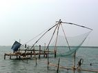 Redes de pesca chinas