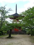 Pagoda Tahoto