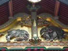 Tosho-gu - Casa de los elefantes