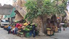 Centro de Batroun