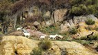 Trayecto entre Besharre y los Cedros de Dios
