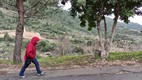 Camino desde Deyr El Qamar hasta Palacio de Beiteddine